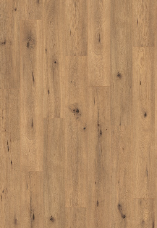 Laminátová podlaha - EGGER NatureSense 7/31 4V / Dub divoký prírodný EL2067