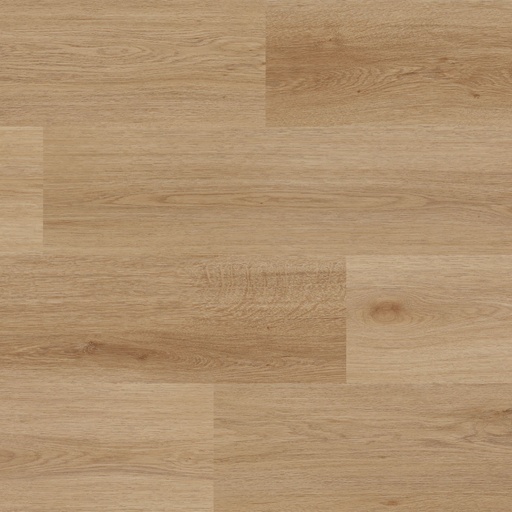 [17549] Kompozitná podlaha - AFIRMAX / BiClick Floor Dub Monument CBC 41582 4 mm 23/32 1-lamela (4041582)
